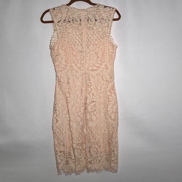 Main Strip Sleeveless Crochet Lace Knee Length Dress Nude Womens Size Medium - Picture 7 of 10